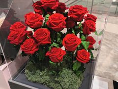-ROSEONLY诺誓(沈阳万象城店)