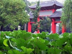 -四川大学(望江校区)