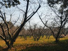 -同里国家湿地公园