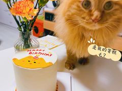 -橙呦·私人定制生日蛋糕