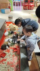 -卡通尼·Safari非洲探索乐园·生日会(金桥国际商业广场店)