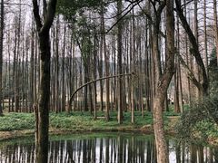 -杭州植物园
