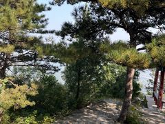 -北京鹫峰国家森林公园