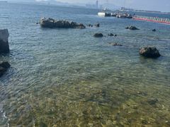 -养马岛旅游度假区