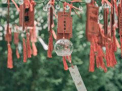 -天目湖涵田半山温泉