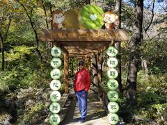 -大岭沟猕猴桃谷风景区