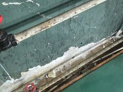 -东丽温泉羽毛球