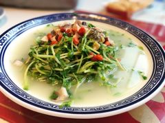 上汤豆苗-禄鼎记·多口味酸菜鱼(侨鑫店)