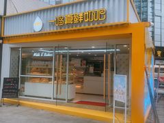 -一鸣真鲜奶吧(星光广场店)