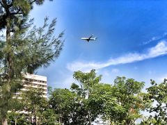 -宝安西湾红树林湿地公园