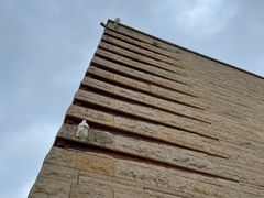 -盘龙城国家考古遗址公园