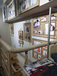 -梵梦影像馆(绿博园店)