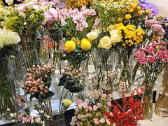 -花未央花店·WEYOUNG