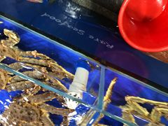 -东江海鲜酒家(艺都分店)