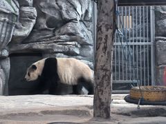-武汉动物园