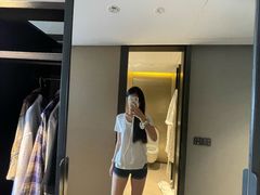 -新加坡瑞士史丹福酒店