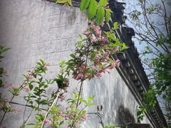 -云岫谷游猎自然风景区