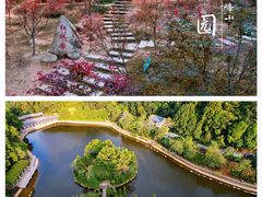 -广州市帽峰山景区