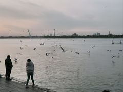 -人民防洪胜利纪念塔