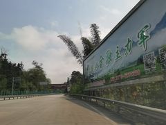 -靖西鹅泉风景区