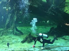 -华夏文旅西安度假区