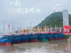 -沈家门渔港