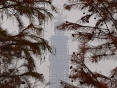 -白鹭湾湿地公园