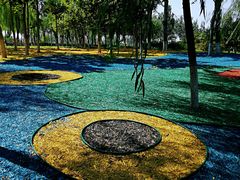 -大兴滨河森林公园