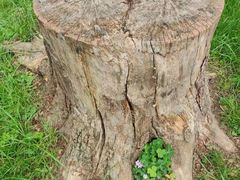 -狼山风景名胜区