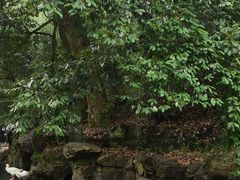 -兰亭风景区