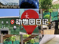 -大连森林动物园