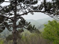 -大觉寺-停车场