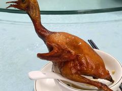 -石岐乳鸽村(南海第三分店)