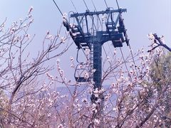 -香山公园