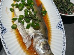 -小厨娘金榜题名(夫子庙秦淮河店)