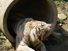 -济南野生动物世界