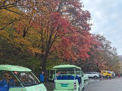 -本溪汤沟绿石谷森林公园