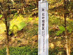 -广州市石门国家森林公园