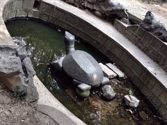 iphone_upload_pic-峙山公园