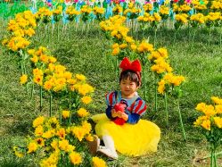 -格林童趣专业儿童摄影(公益西桥店)