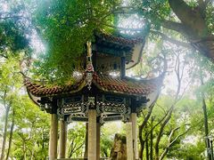 -郑和公园