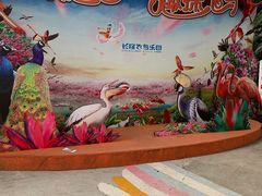 -广州长隆飞鸟乐园