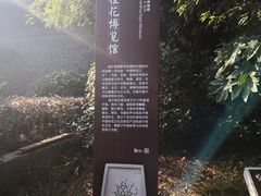 -潜山国家森林公园