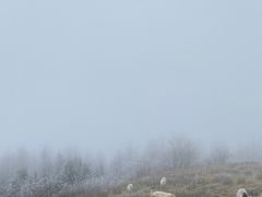 -硗碛藏寨·神木垒景区