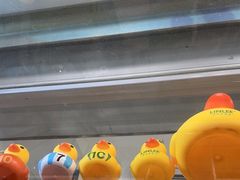 -LINLEE林里·手打柠檬茶(黄浦茂名南路店)