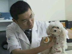 -达爱动物医院·犬猫分区·CT·复杂眼科(远洋山水分院)