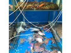-海帮主·蒸汽海鲜青岛菜(栈桥火车站店)