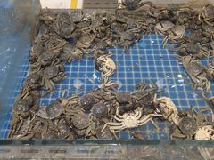-半岛听涛蒸汽海鲜自助(K11店)