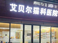-艾贝尔宠物医院·24H转诊中心·肿瘤猫专科(江宁双龙店)
