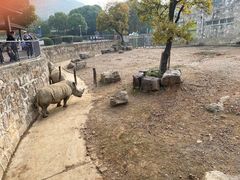 -无锡动物园·太湖欢乐园